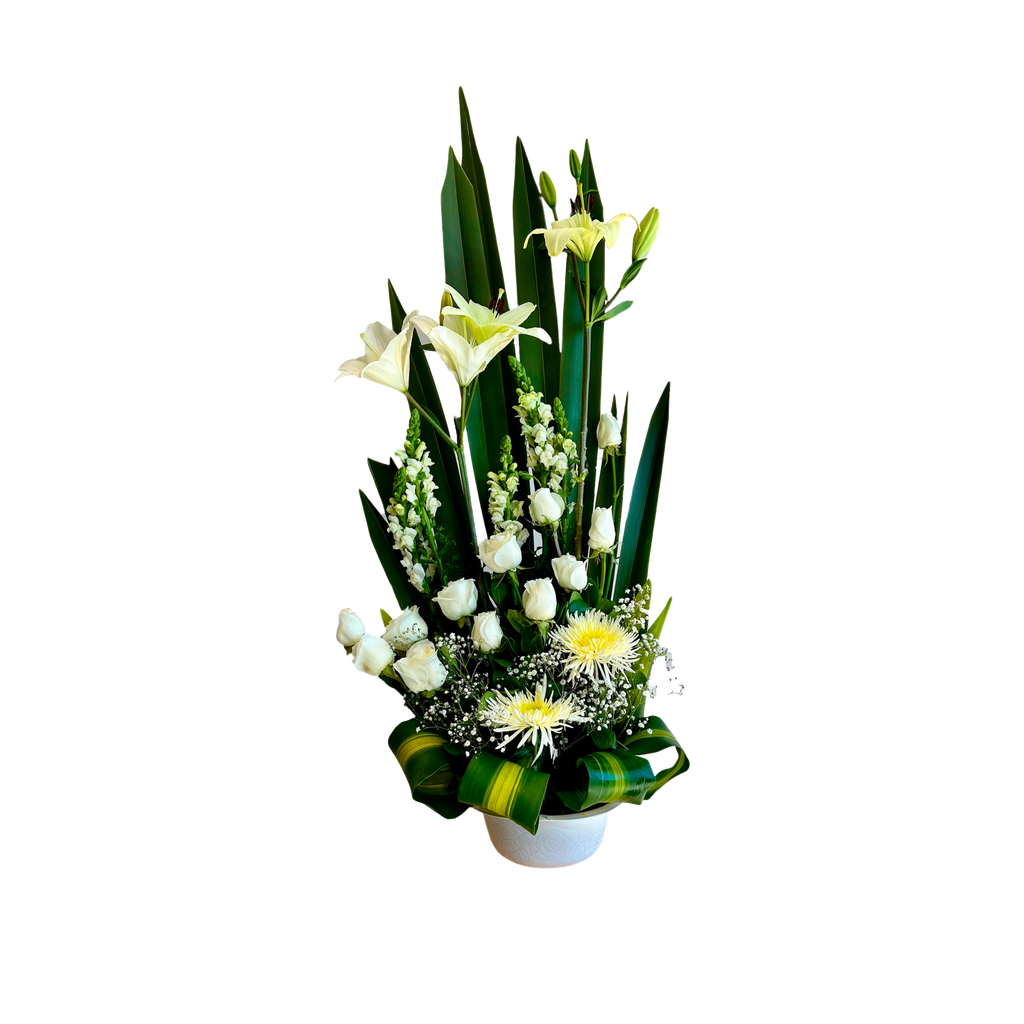 ESPIRAL