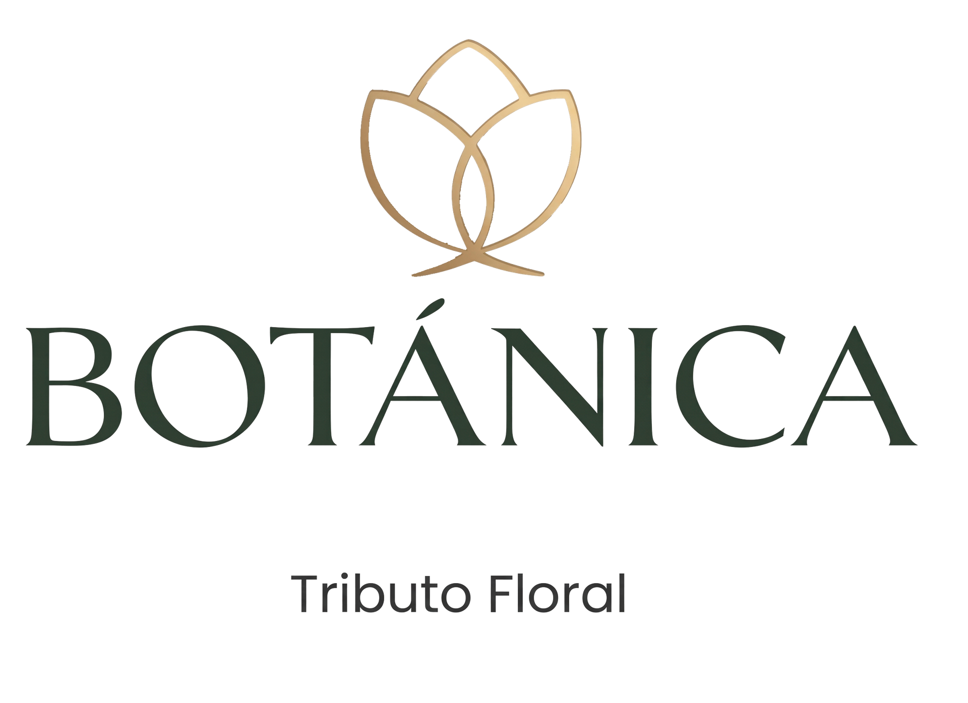 BOTÁNICA TRIBUTO FLORAL1